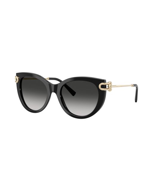 Tiffany & Co Black Sunglass Tf4232f