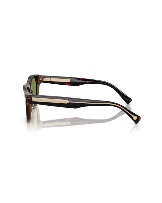 Brunello Cucinelli Green Sunglass Bc3005s for men