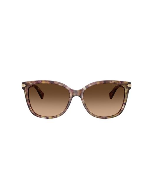 COACH Black Hc8132 Sunglasses