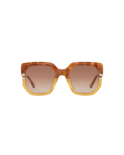 Chloé Black Sunglass CH0240S