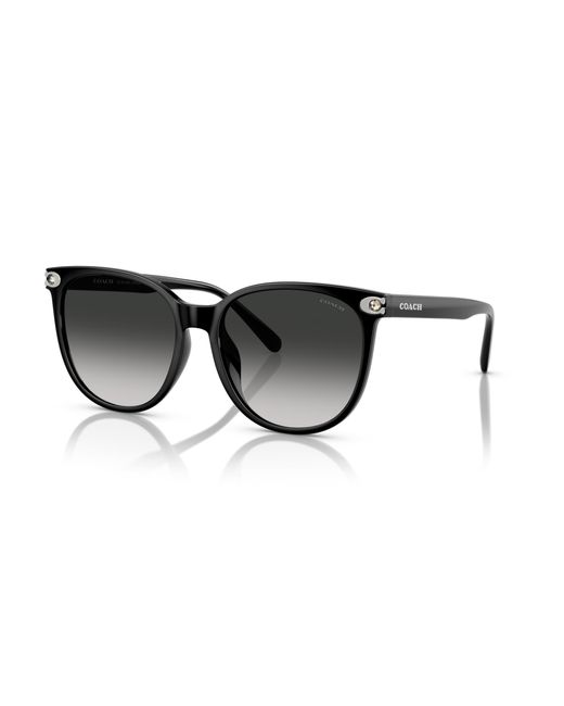 COACH Black Sunglass Cw428