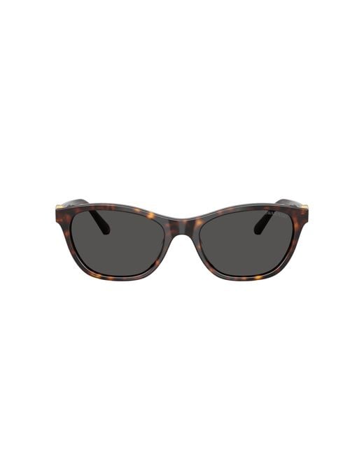 Swarovski Black Sunglass Sk6070