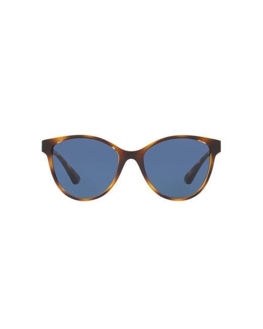 Sunglass Hut Collection Black Sunglasses Hu2021