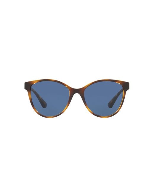 Sunglass Hut Collection Black Sunglasses Hu2021