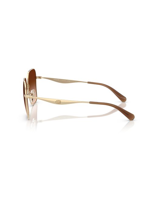 COACH Black Sunglass Cw189