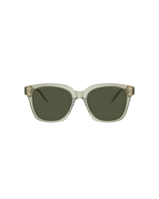 Giorgio Armani Green Sunglass Ar8210u
