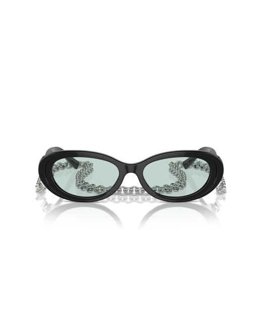 Tiffany & Co Black Sunglass Tf4221