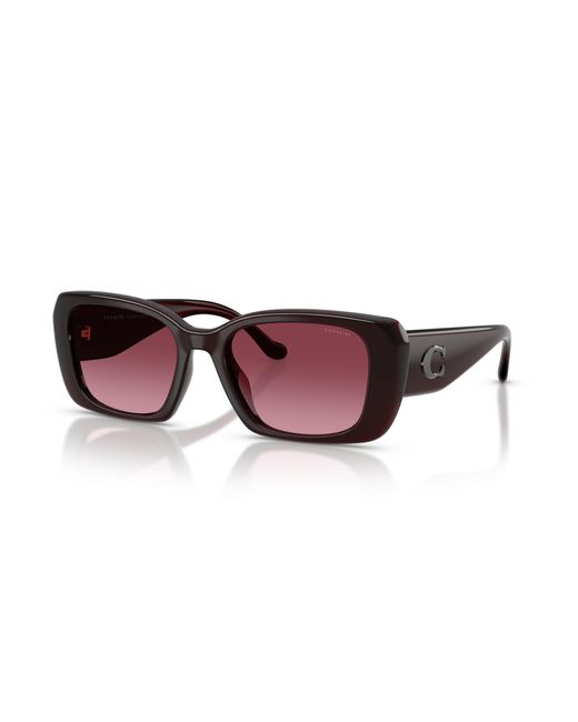 COACH Black Sunglass Cby82