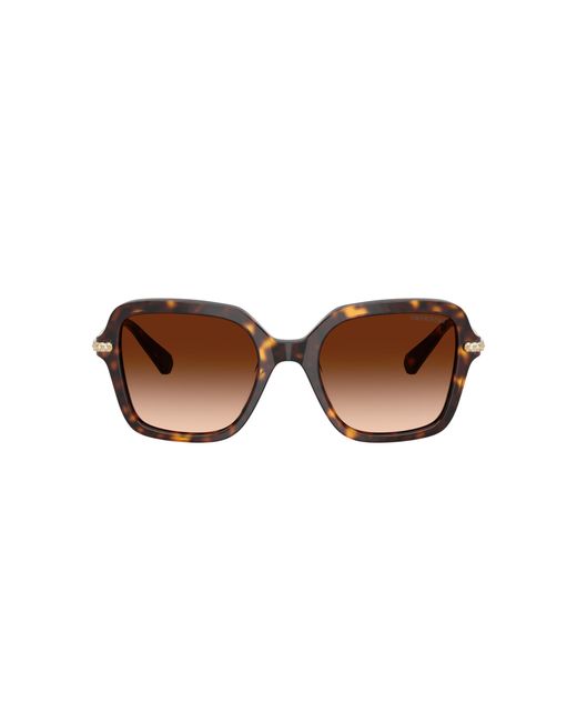 Swarovski Black Sunglass Sk6040