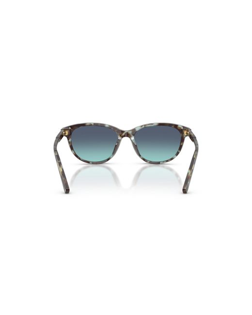 Dolce & Gabbana Black Sunglass Dx4010