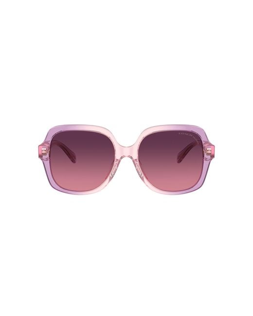 COACH Black Sunglass Cr614