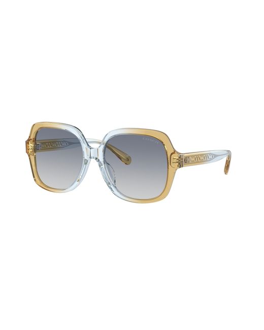 COACH Black Sunglass Cr614