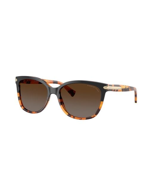 COACH Black Hc8132 Sunglasses