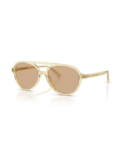 Jimmy Choo Black Sunglass Jc5055u