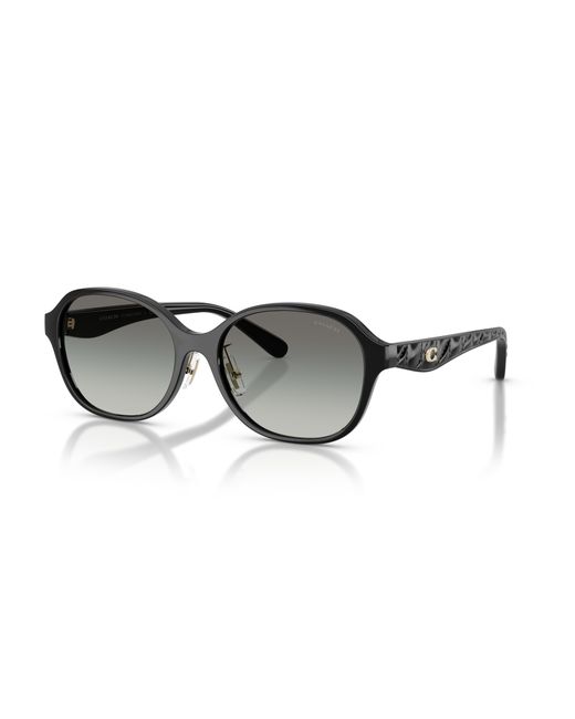 COACH Black Sunglass Cby85