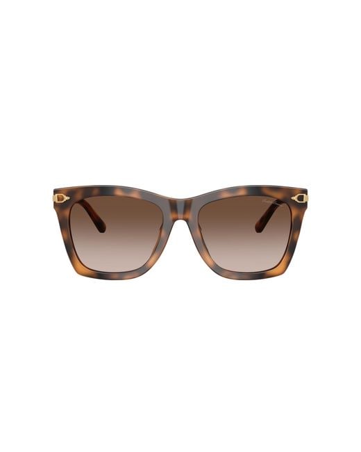 Ralph Lauren Black Sunglass Rl8235u