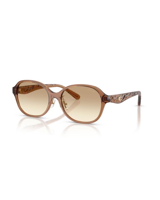 COACH Black Sunglass Cby85