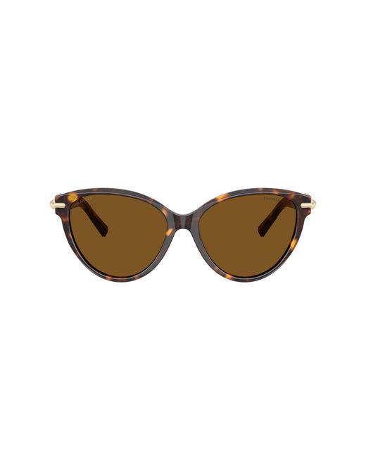 Tiffany & Co Black Sunglass Tf4261