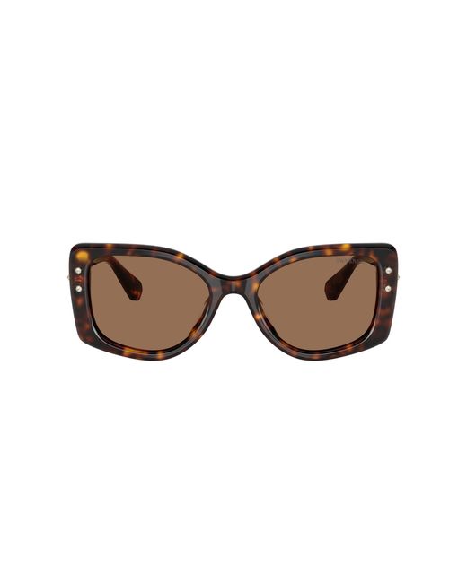Swarovski Black Sunglass Sk6058u
