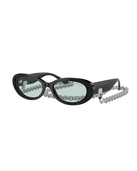 Tiffany & Co Black Sunglass Tf4221