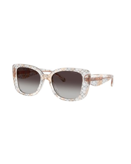 COACH Black Sunglass Cdp48