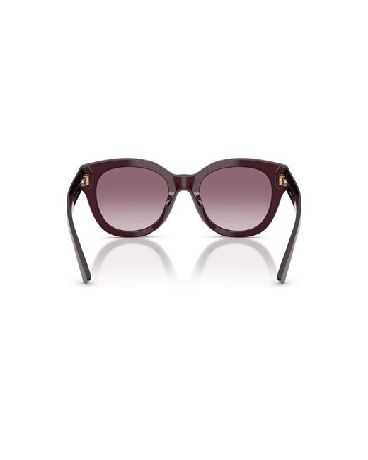 Jimmy Choo Black Sunglass Jc5053