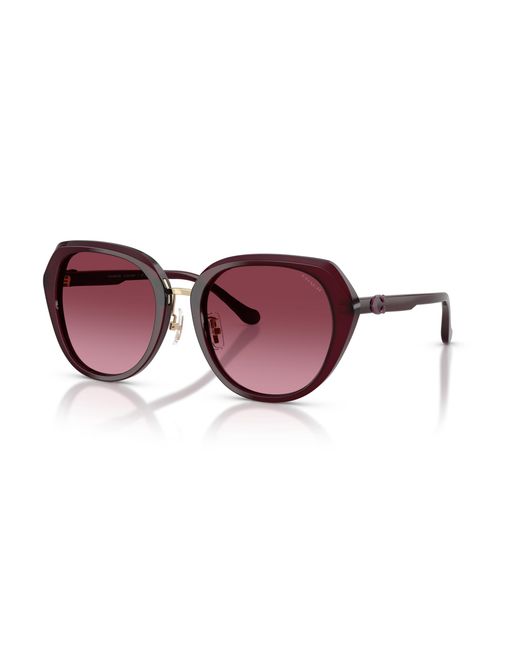 COACH Black Sunglass Cby93