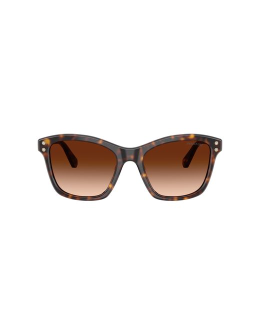 Swarovski Vrouwelijk Sunglass Sk6063 in het Black