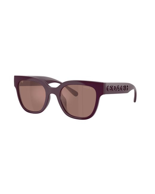 Sunglass CFT88 COACH de color Black