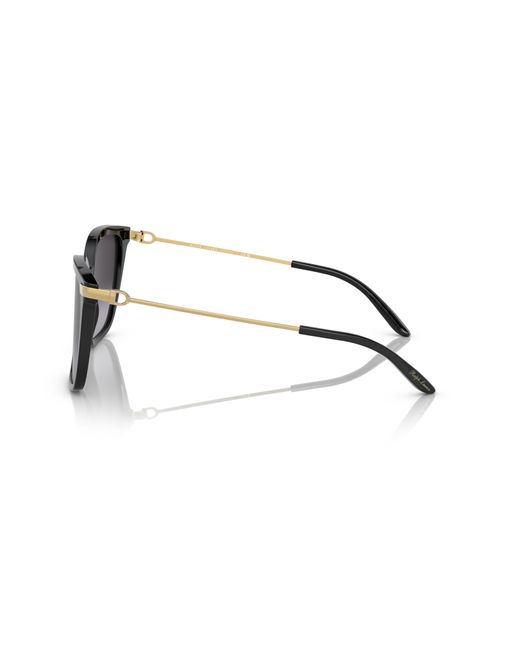 Ralph Lauren Black Sunglass The Jacquie