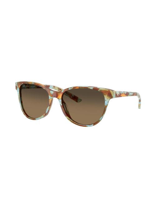 Costa Black Sunglass Catherine