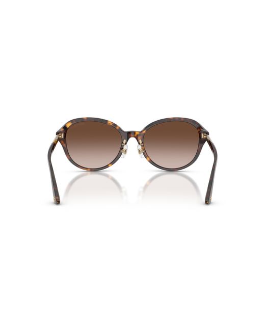 Jimmy Choo Black Sunglass Jc5044d