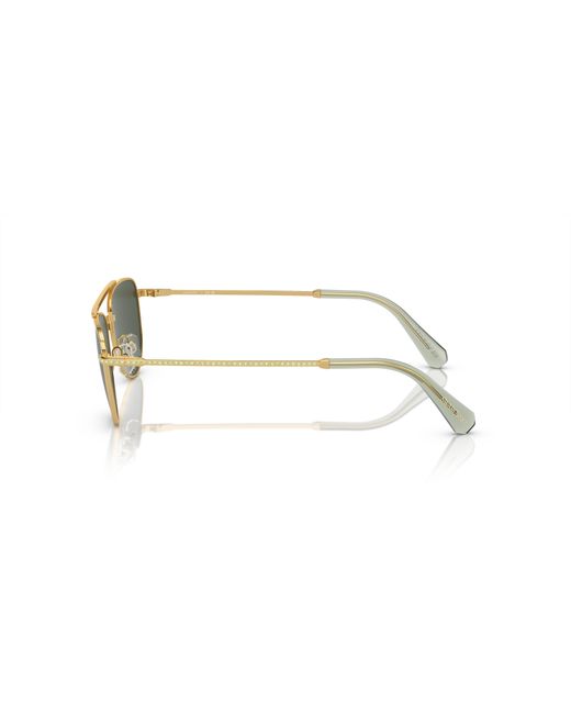 Swarovski Black Sunglass Sk7007
