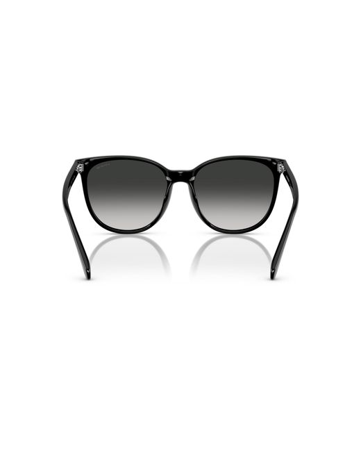 COACH Black Sunglass Cw428
