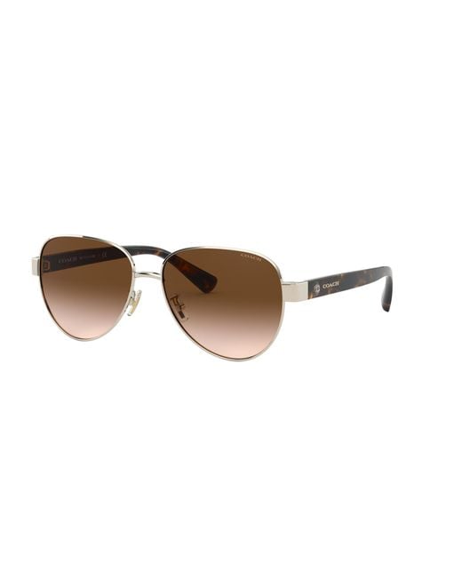 COACH Black Hc7111 Sunglasses