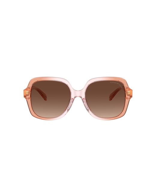 COACH Black Sunglass Cr614