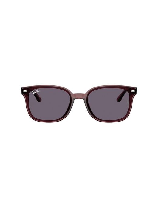 Ray-Ban Black Ray