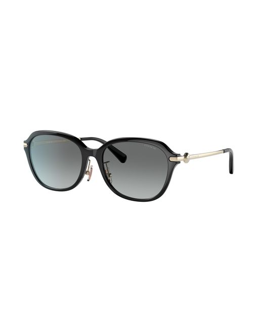COACH Black Sunglass C6199