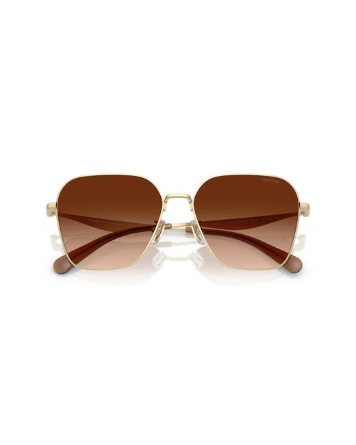 COACH Black Sunglass Cw189