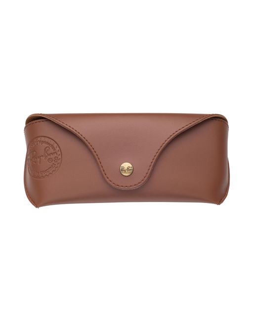 Ray-Ban Brown Accessory Arb0001at Special Edition Case