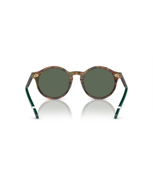 Polo Ralph Lauren Green Sunglass Ph4204u for men