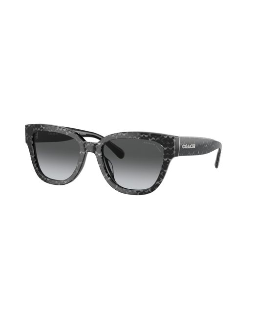 COACH Black Sunglass Cl920