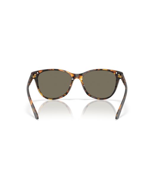 Costa Black Sunglass Catherine