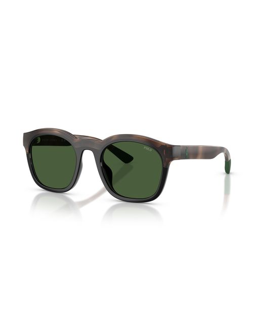 Polo Ralph Lauren Green Sunglass Ph4243u for men