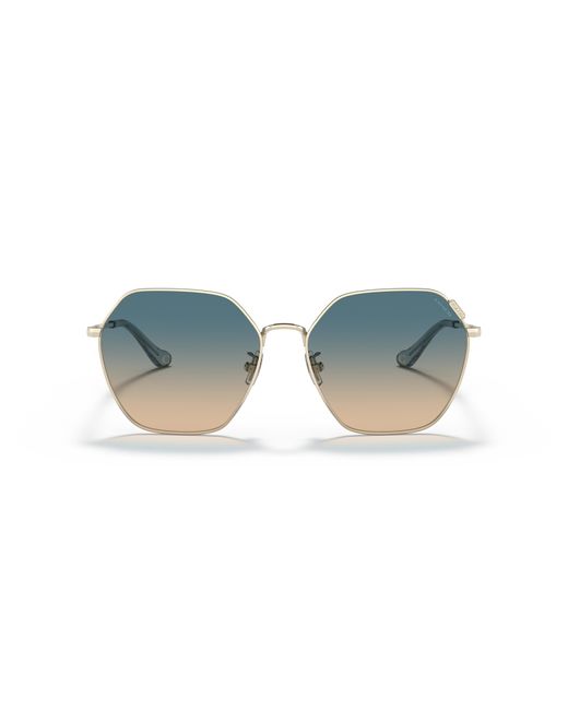 COACH Black Sunglass C7998