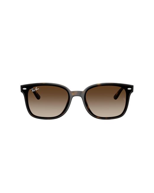 Ray-Ban Black Ray