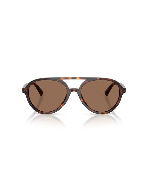 Jimmy Choo Black Sunglass Jc5055u