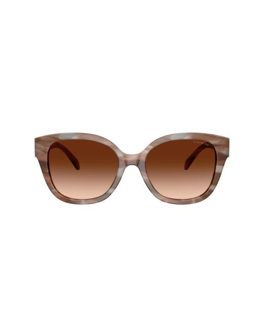 COACH Black Sunglass Cby94