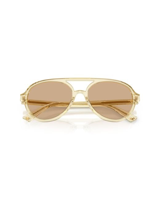 Jimmy Choo Black Sunglass Jc5055u