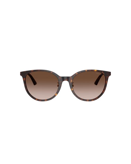 Jimmy Choo Black Sunglass Jc5056jd
